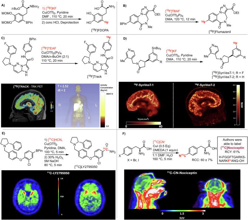 Copper-mediated radiochemistry: historical impact, current trends, and future possibilities.