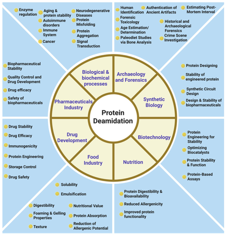 Advances in the Study of Protein Deamidation: Unveiling Its Influence on Aging, Disease Progression, Forensics and Therapeutic Efficacy.