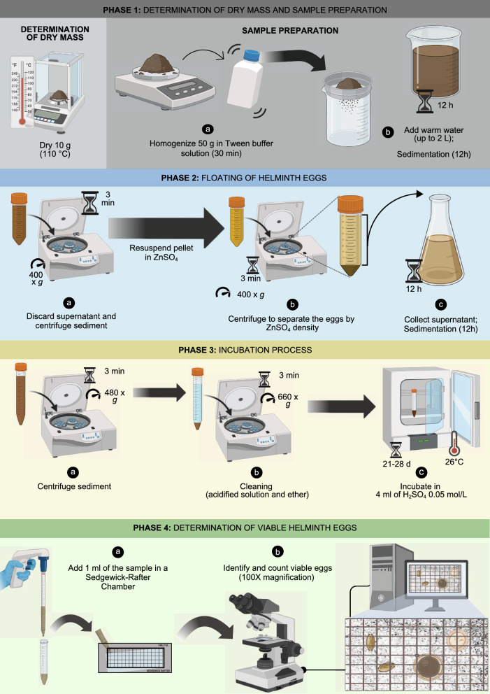Wastewater-based epidemiological study on helminth egg detection in untreated sewage sludge from Brazilian regions with unequal income.