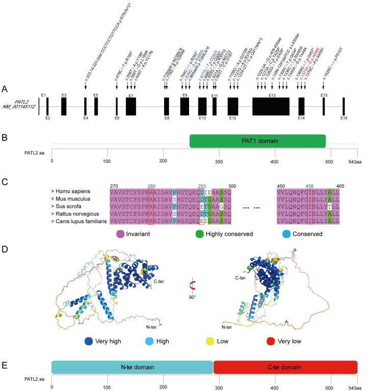 Novel Genetic Variants in <i>PATL</i>2 Corresponding to Different Clinical Phenotypes of Female Infertility.