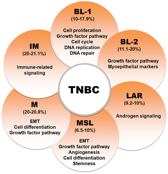 Molecular targets and therapies associated with poor prognosis of triple‑negative breast cancer (Review).