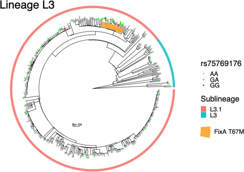 Genome-to-genome analysis reveals associations between human and mycobacterial genetic variation in tuberculosis patients from Tanzania.