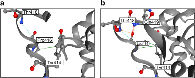 Genomic profiling, implications for genotype-based treatment of 131 patients with phenylketonuria and characterization of novel p.Pro416Leu PAH variant.