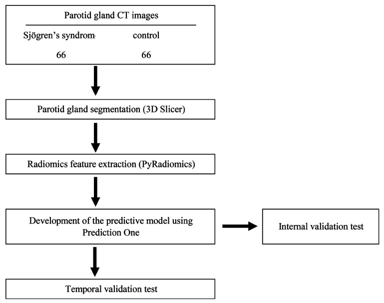 Preliminary approach to creation of a prediction model for diagnosis of Sjögren's syndrome using radiomics and machine learning techniques on computed tomography images of the parotid glands.