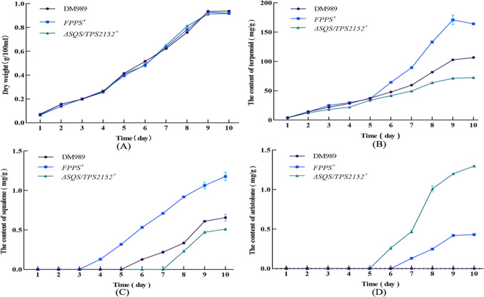 Engineering Sanghuangporus sanghuang for enhanced (-)-aristolone production via metabolic pathway optimization and terpene synthase engineering.