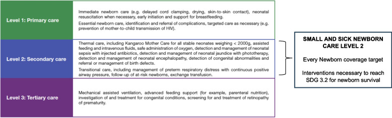 Born Too Soon: Care for small and sick newborns, evidence for investment and implementation.