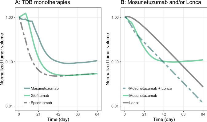 QSP modeling of loncastuximab tesirine with T-cell-dependent bispecific antibodies guides dose-regimen strategy.