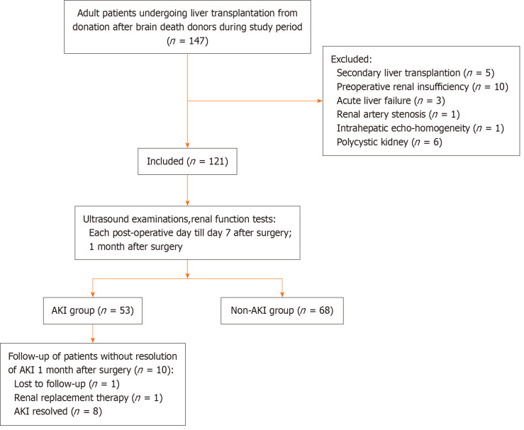 Role of sonographic hepatorenal index and renal resistive index in monitoring of acute kidney injury after liver transplantation.