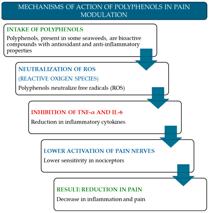 From Sea to Relief: The Therapeutic Potential of Marine Algal Antioxidants in Pain Alleviation.