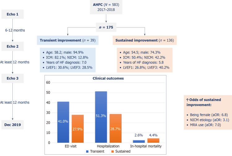 Beyond initial recovery: Heart failure with transient <i>vs</i> sustained improvement in left ventricular ejection fraction.