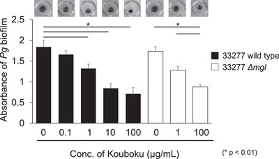 Suppressive Effects of Kouboku on Methyl Mercaptan Production and Biofilm Formation in Porphyromonas gingivalis.
