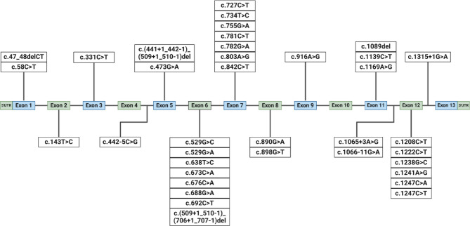 Genomic profiling, implications for genotype-based treatment of 131 patients with phenylketonuria and characterization of novel p.Pro416Leu PAH variant.
