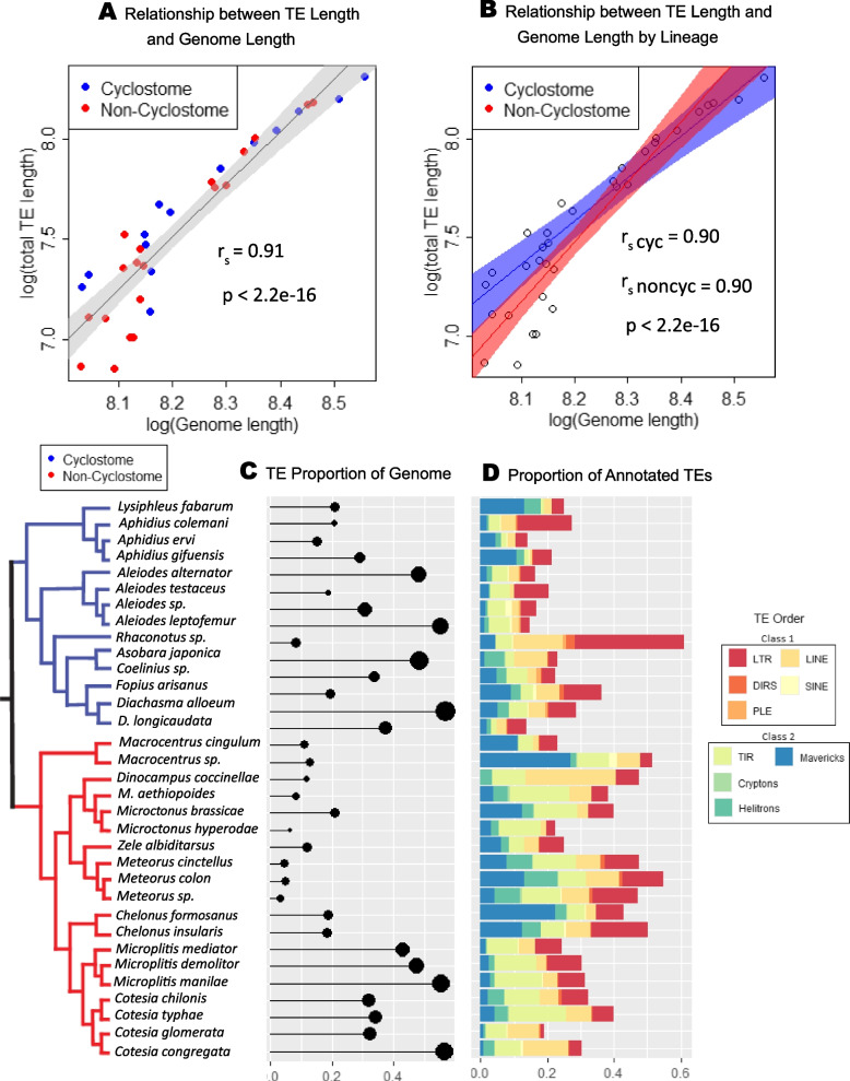 The highly diverse repertoire of transposable elements within the genomes of parasitic wasps (Hymenoptera: Braconidae).