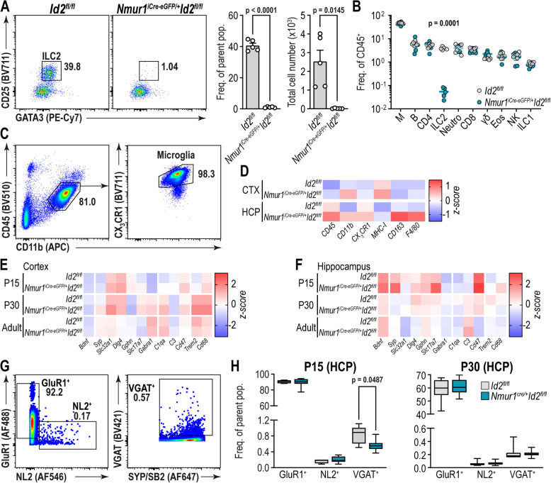 Group 2 innate lymphoid cells drive inhibitory synapse formation with lasting effects on learning and memory.