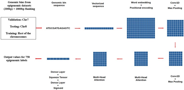 Neur-Ally: a deep learning model for regulatory variant prediction based on genomic and epigenomic features in brain and its validation in certain neurological disorders.