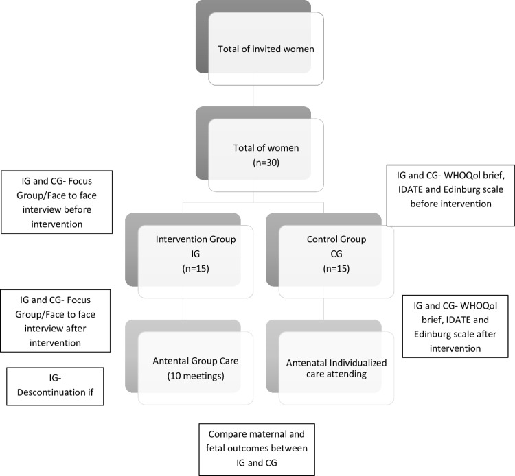 Study protocol of group antenatal care implementation at a public women's hospital in Brazil.