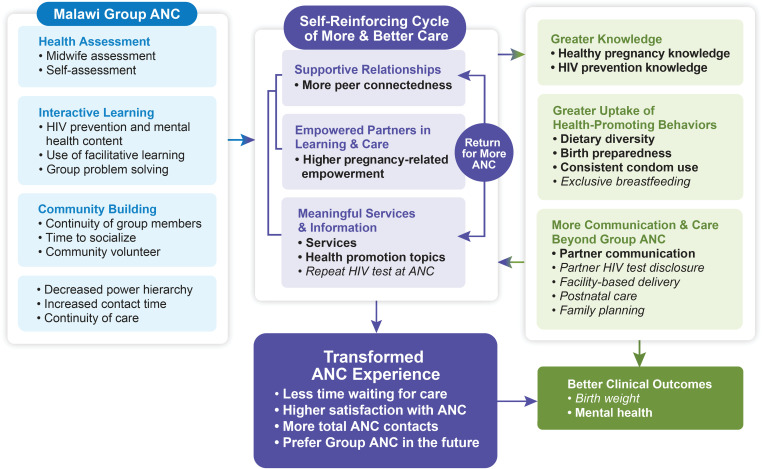 Group antenatal care positively transforms the care experience: Results of an effectiveness trial in Malawi.