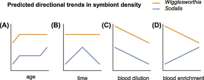 How do host age and nutrition affect density regulation of obligate versus facultative bacterial symbionts? Insights from the tsetse fly.
