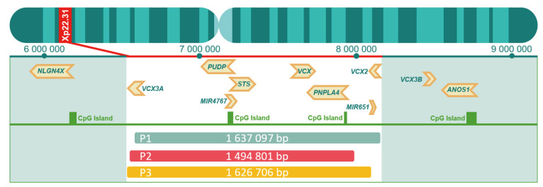 Cardiac arrhythmia, developmental delay, epilepsy and ichthyosis due to Xp22.31 deletion: review of literature and case report.
