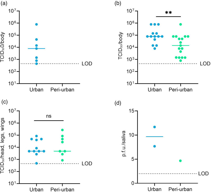 <i>Aedes aegypti</i> mosquitoes from Burkina Faso can transmit the chikungunya virus and Zika virus of the African lineage, but not the Zika virus of the Asian lineage.