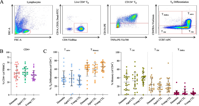 Frequency of synaptic antigen-specific CD4<sup>+</sup> T cells in dementia is age-dependent but not correlated with cognitive impairment.