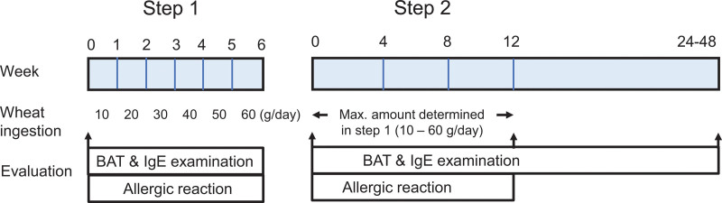 Phase II multicenter clinical trial of hypoallergenic 1BS-18 Hokushin bread oral immunotherapy for wheat-dependent exercise-induced anaphylaxis.