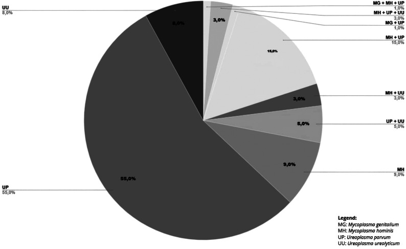 Prevalence of <i>Mollicutes</i> in pregnant women undergoing high-risk prenatal care at a maternal and child reference unit in Bahia, Brazil.