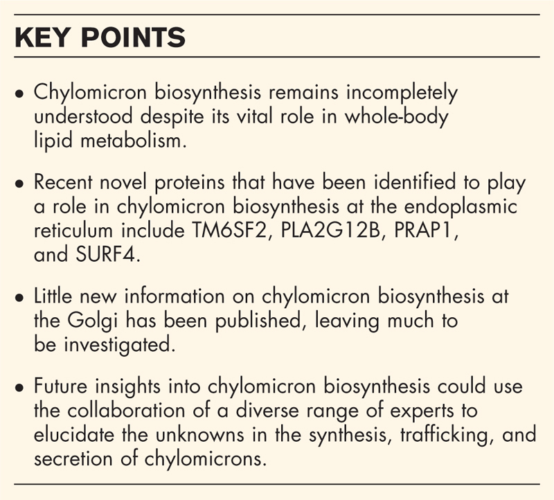 The intracellular chylomicron highway: novel insights into chylomicron biosynthesis, trafficking, and secretion.