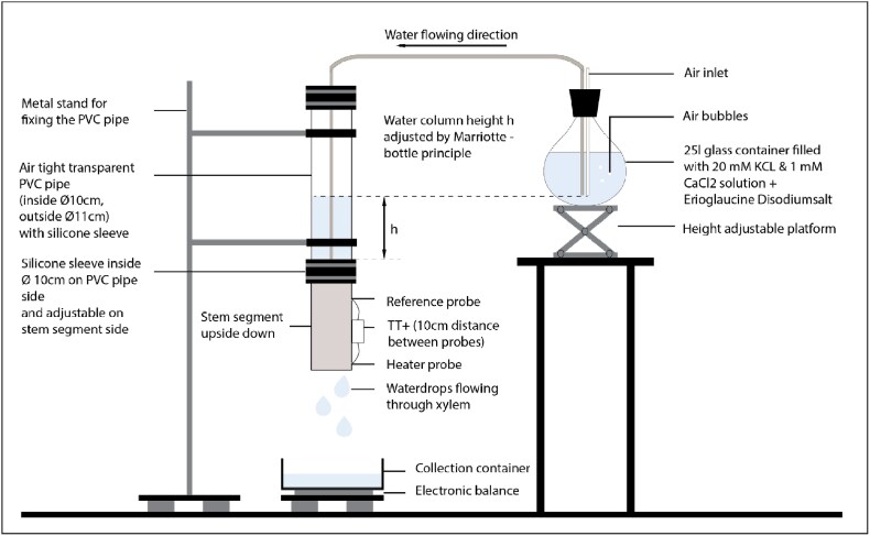 Calibration of a new transient thermal dissipation-based Internet of Things (IoT)-sensor for xylem sap flow density measurements for three different temperate tree species.