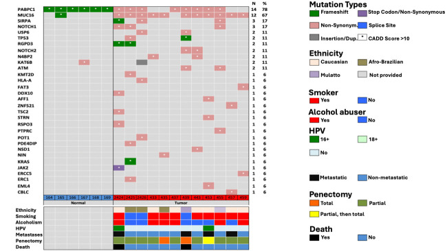 Mutational landscape of epidermoid carcinoma of the penis in a Brazilian cohort.