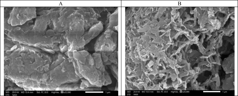 Use of red seaweed phytochemicals-zeolite nanocomposite as a feed additive to reduce ruminal methane emissions in vitro.