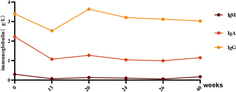Successful outcome of a refractory IgA vasculitis nephritis in children treated with telitacicept.