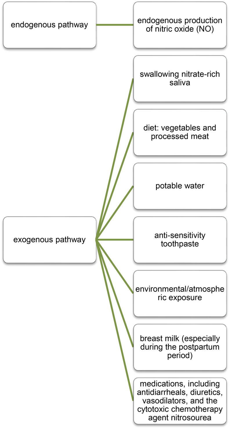 Nitrate and Nitrite in the Diet: Protective and Harmful Effects in Health and Disease.