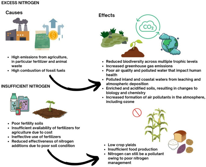 Nitrate and Nitrite in the Diet: Protective and Harmful Effects in Health and Disease.