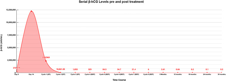 Remarkable Response to Cisplatin-Based Chemotherapy and Long-Term Remission in a Young Male with Widespread Extragonadal Choriocarcinoma: A Case Report and Literature Review.