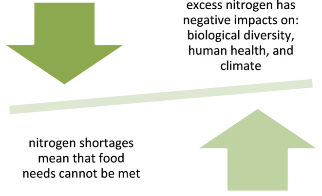 Nitrate and Nitrite in the Diet: Protective and Harmful Effects in Health and Disease.