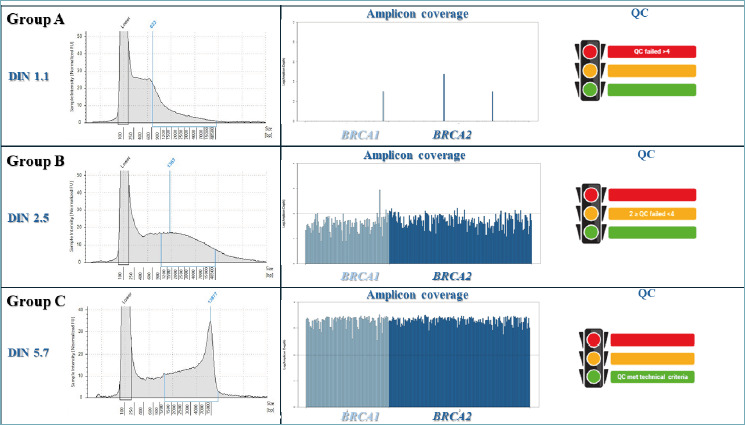 Homologous recombination deficiency testing in ovarian cancer: the diagnostic experience of a referral Italian institution.