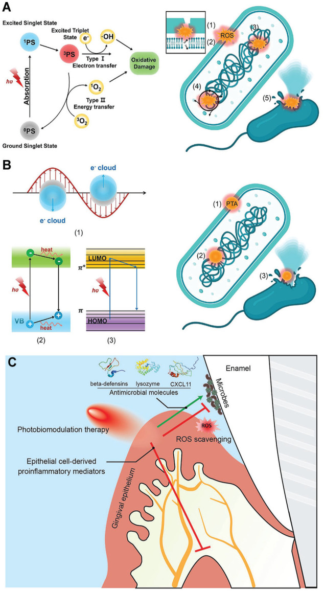 Novel Approaches for Treatment of Intraoral Microbial Infections.