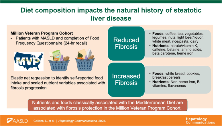 Diet composition impacts the natural history of steatotic liver disease.