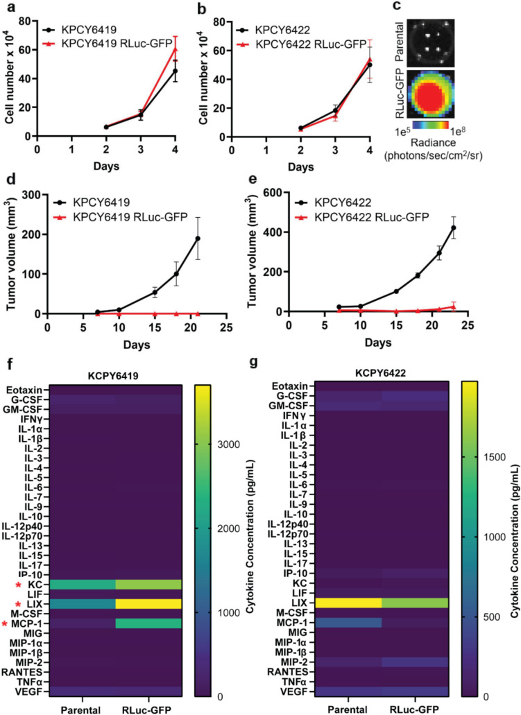 Immune Response to Bioluminescence Imaging Reporters in Murine Tumor Models.