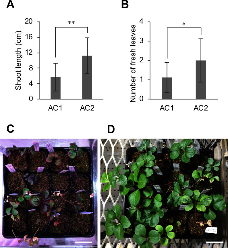 Improvement of culture and acclimation conditions in a bio-nursery system for <i>Paeonia lactiflora</i>.