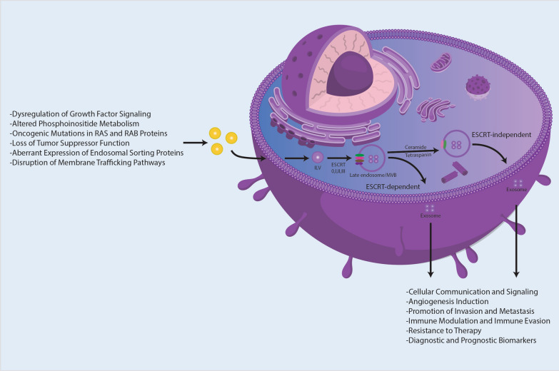 Exosomal biomarkers and immune checkpoint inhibitors: advancements and future prospects.