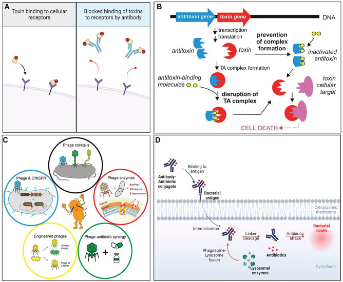 Novel Approaches for Treatment of Intraoral Microbial Infections.