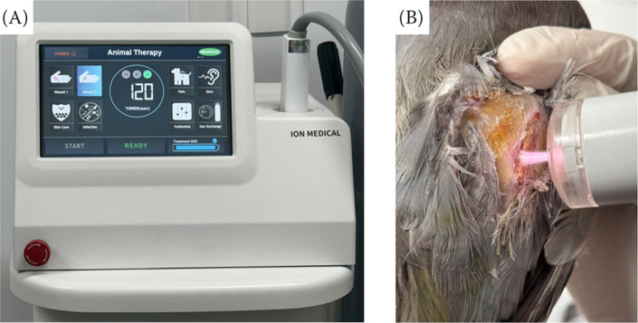 Application of cold atmospheric microwave plasma on four domestic pigeons (<i>Columba livia domestica</i>) with open wounds.