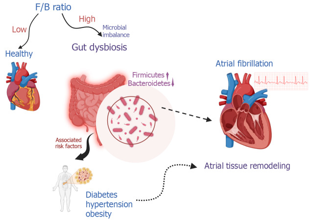 Impact of gut microbiome on atrial fibrillation: Mechanistic insights and future directions in individualized medicine.