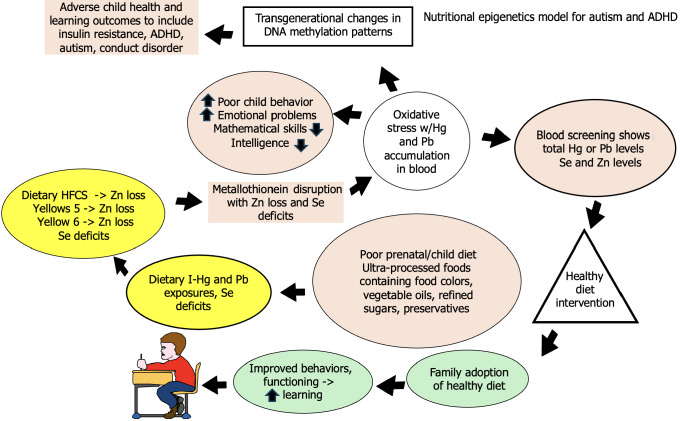 Biomarkers for tracking metabolic changes pre-post nutritional epigenetics diet/intervention to prevent autism and attention deficit/hyperactivity disorders in children.