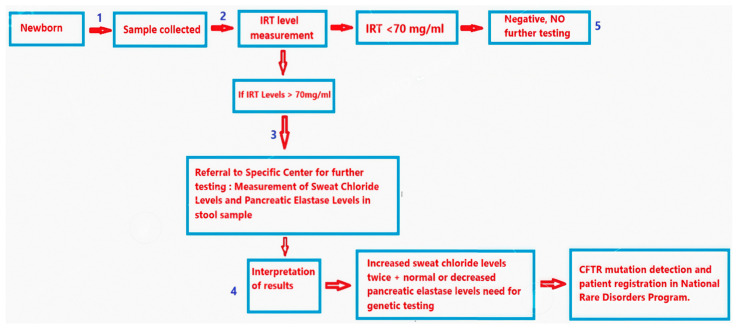 Evaluation of Cystic Fibrosis Newborn Screening and Follow-Up Process in Georgia (2022-2023).