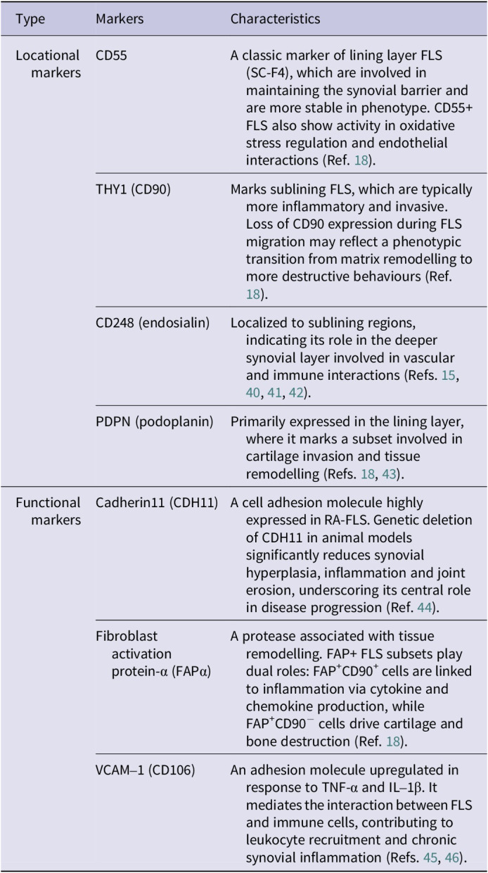 Unveiling the Therapeutic Potential: Targeting Fibroblast-like Synoviocytes in Rheumatoid Arthritis.
