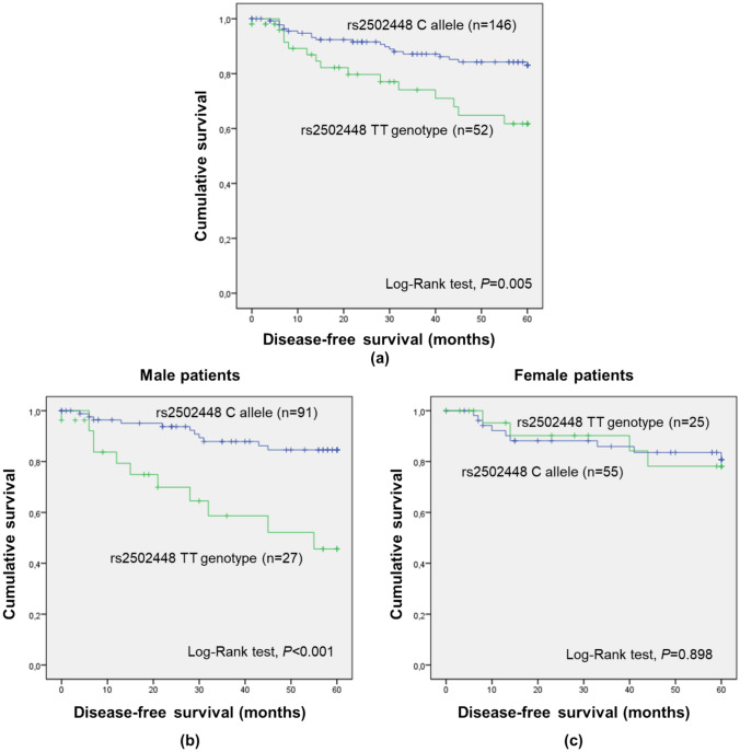 Genetic markers of thrombophilia as predictors of outcome in colorectal cancer.