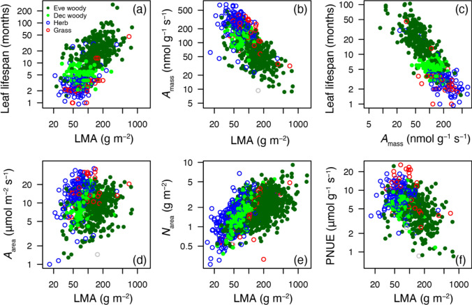 Leaf economics of deciduous and evergreen plants: how do they exhibit trait optimization under resource variations and environmental constraints.